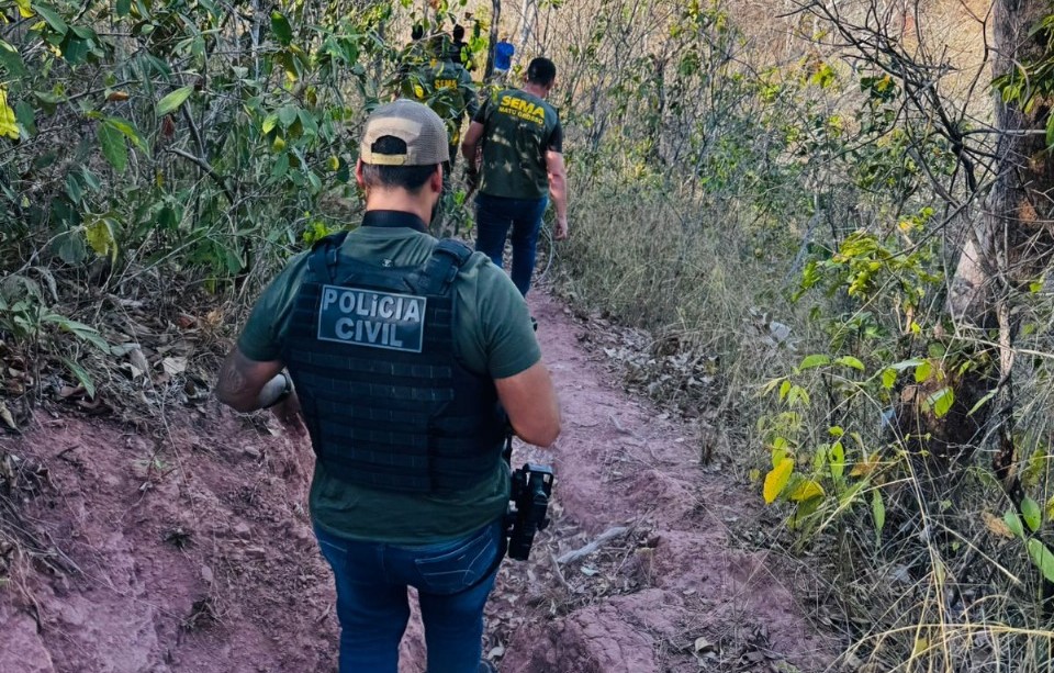 Polícia Civil realiza ação contra o corte ilegal de árvores em Confresa e prende três suspeitos