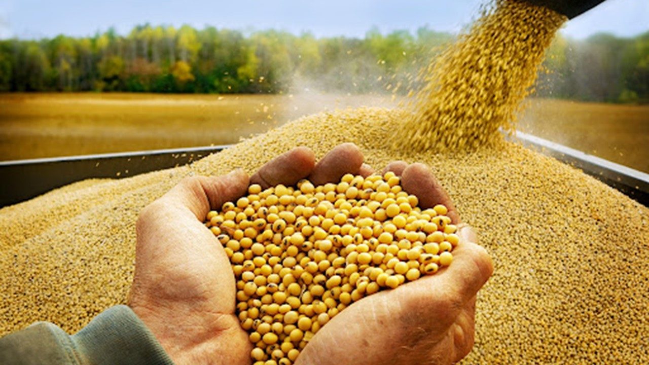 Crédito caro, prazos curtos e promessas insuficientes: a conta que sobra para o produtor rural