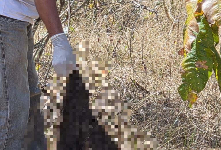 Ossada encontrada pela Polícia Civil revela indícios de tortura e possível decapitação