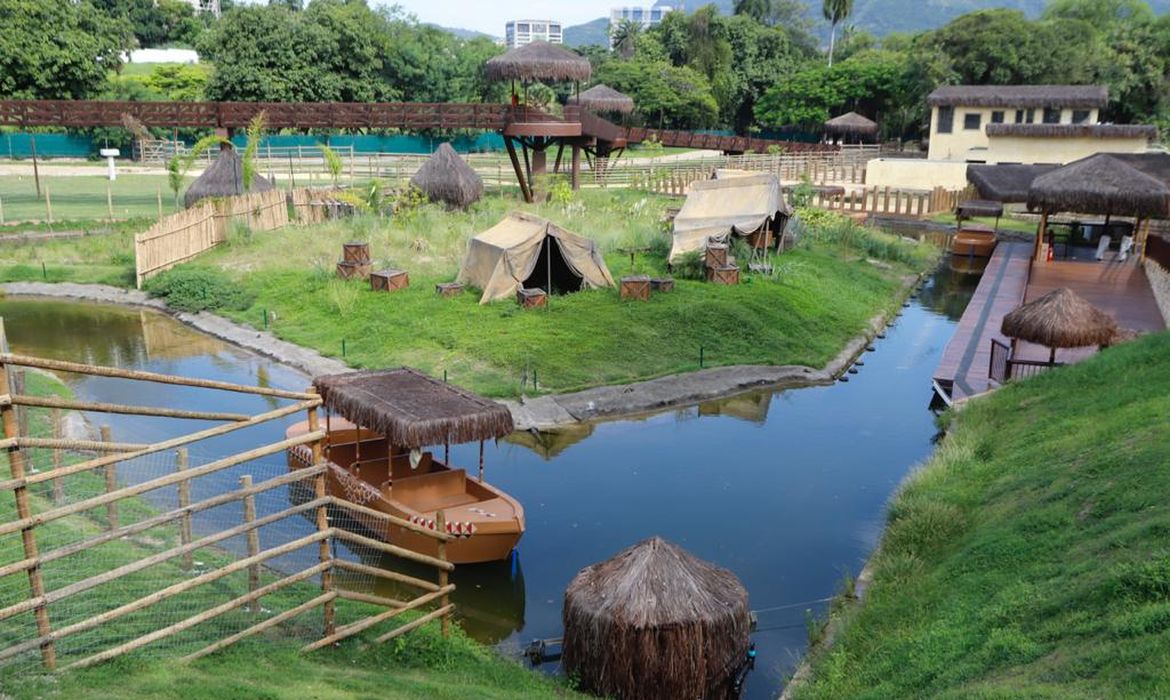 Zoológico do Rio reabre ao público nesta quinta após mortes de aves