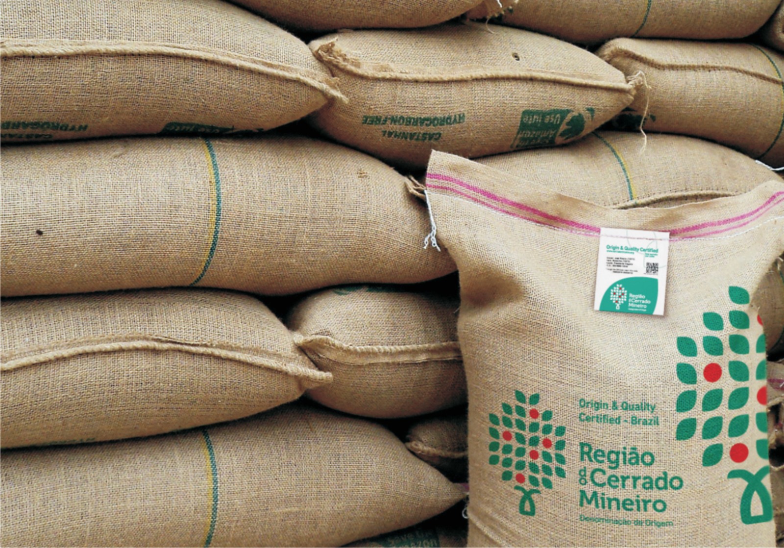 Expocacer: geadas podem comprometer mais de 400 mil sacas de café em MG