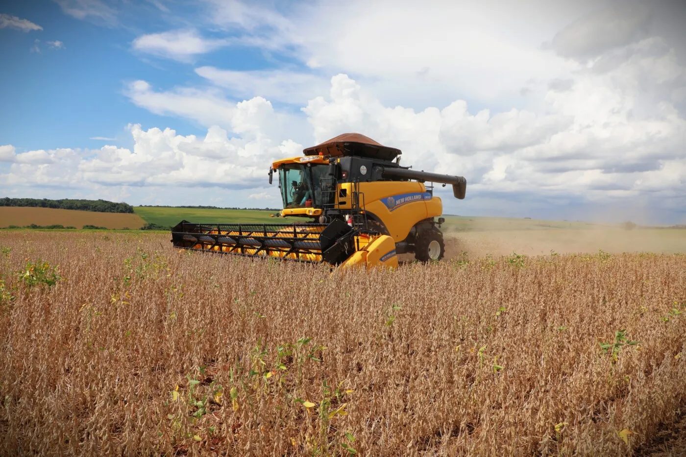 Soja/Rural Clima: La Niña deve chegar em novembro e beneficiar plantio antecipado