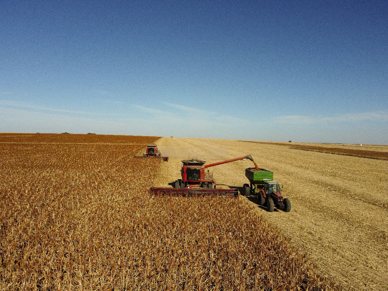 China fecha acordo inédito para exportação de sorgo do Brasil