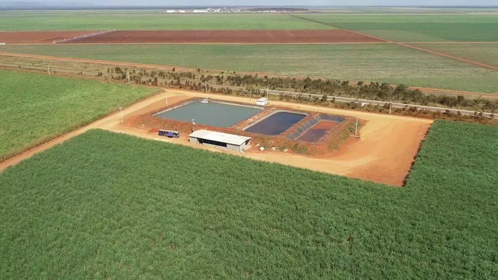 Datagro e Milenio estruturam FIDC para financiar fornecedor de cana da Bevap