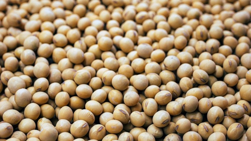 Pesquisador: Envio de soja dos EUA para a China é preocupante