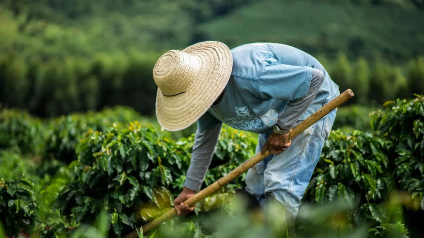 Tarifaço impõe férias coletivas na indústria exportadora