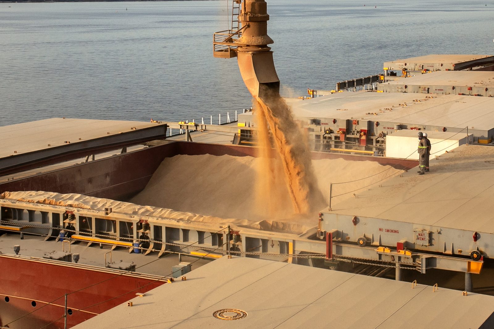 Gigante muda destino da 1ª carga de 30.000 t de farelo de soja argentina para a China