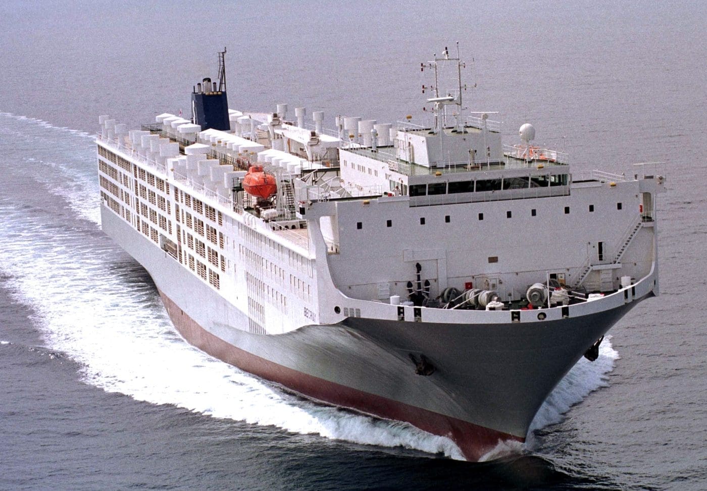Exportações de gado vivo da Austrália para a Indonésia chegam perto de 300.000 cab em 2025