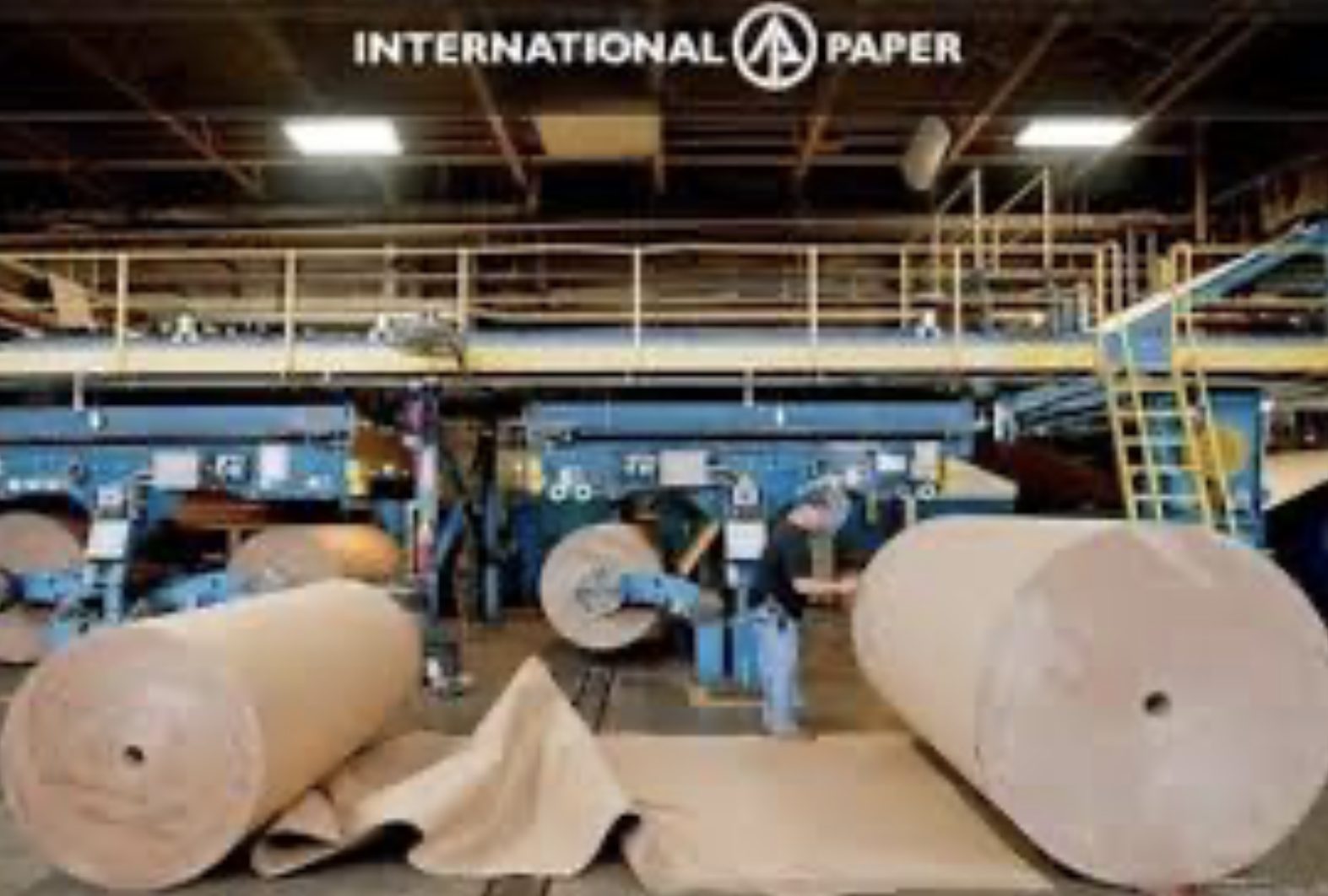 Gigante mundial International Paper vende divisão global de celulose por US$ 1,5 bilhão