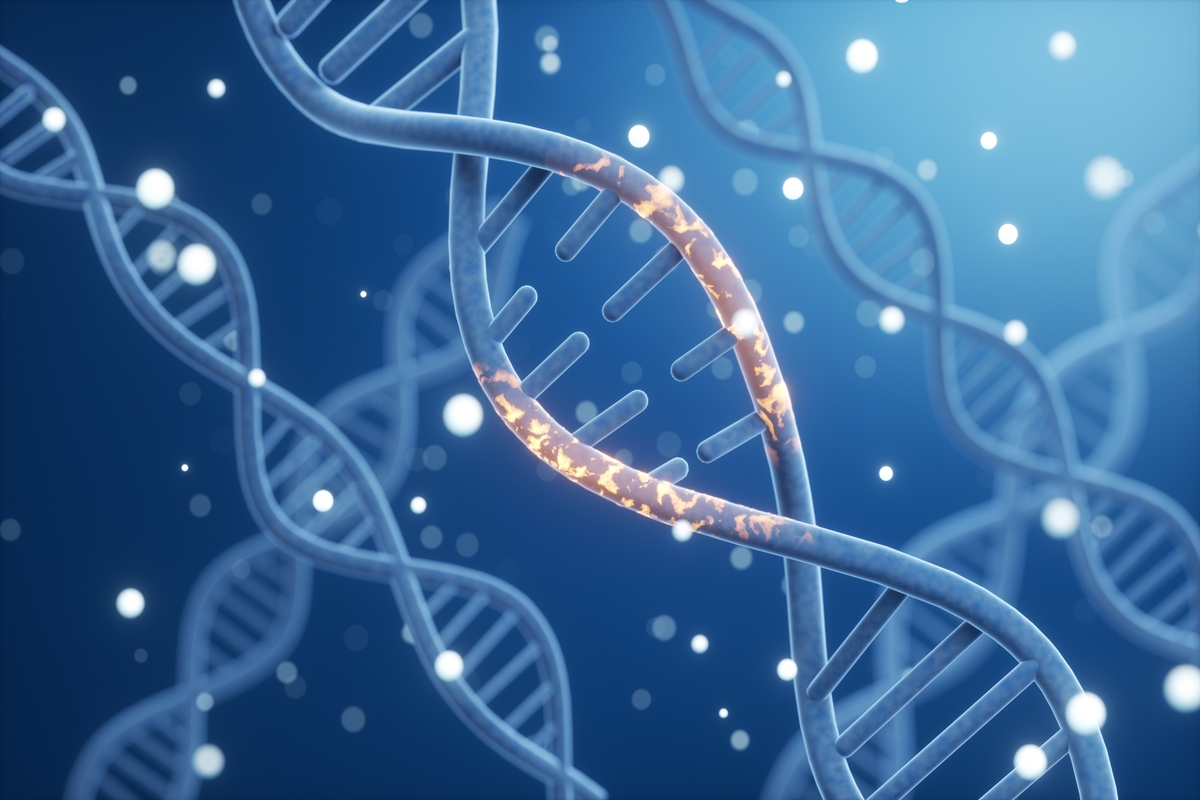 Cientistas descobrem complexo de DNA ligado à fertilidade e ao câncer