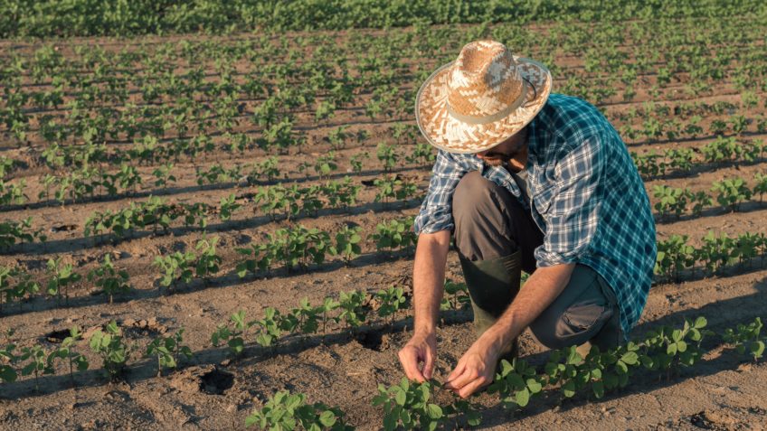 Governo comprará alimentos de produtores prejudicados pelo tarifaço