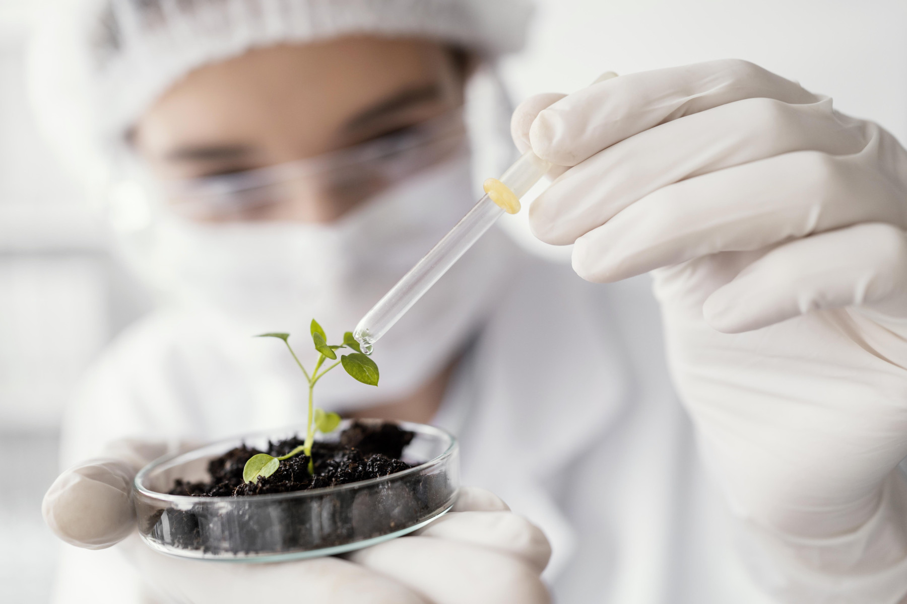 Equilíbrio nutricional se torna chave para sustentar altas produtividades no campo