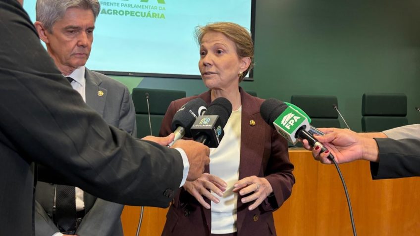 Bancada agro articula derrubar vetos do licenciamento ambiental