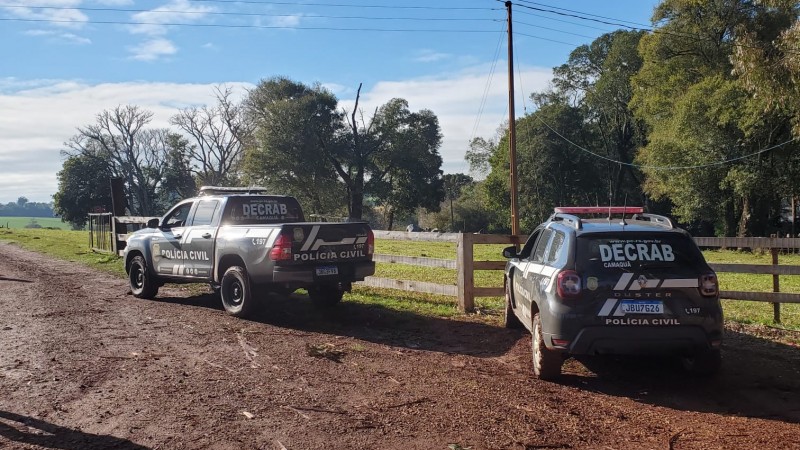 Fraude em leilões: criminosos usam dados de pecuaristas em golpe do ‘Lance Falso’