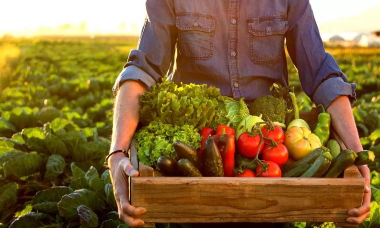 Reforma do Imposto de Renda: FPA apresenta conjunto de emendas para blindar o custo de produção e o preço de alimentos
