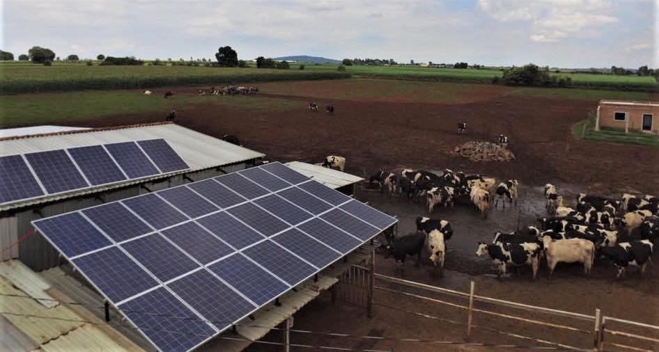 Aprovado projeto que destina R$ 400 milhões para agricultor investir em energia solar