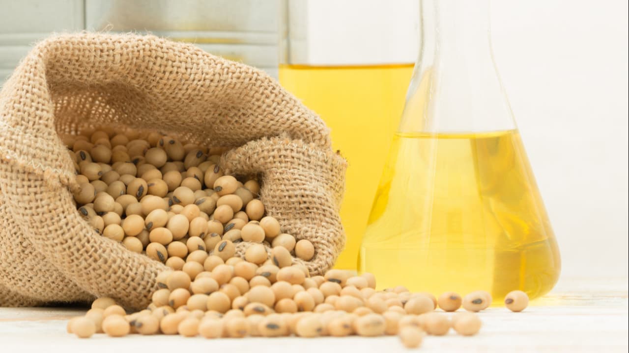 Estudo sobre a cadeia da soja e do biodiesel é apresentado em congresso realizado na Grécia