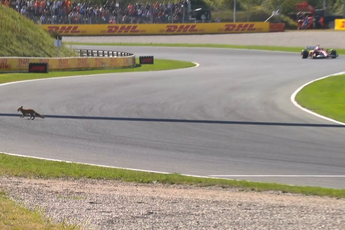 Vídeo: forasteiro invade pista durante F1 e é flagrado por Leclerc