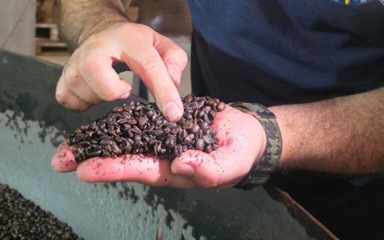 Operação retira mais de 2,4 toneladas de café impróprio do mercado no RJ