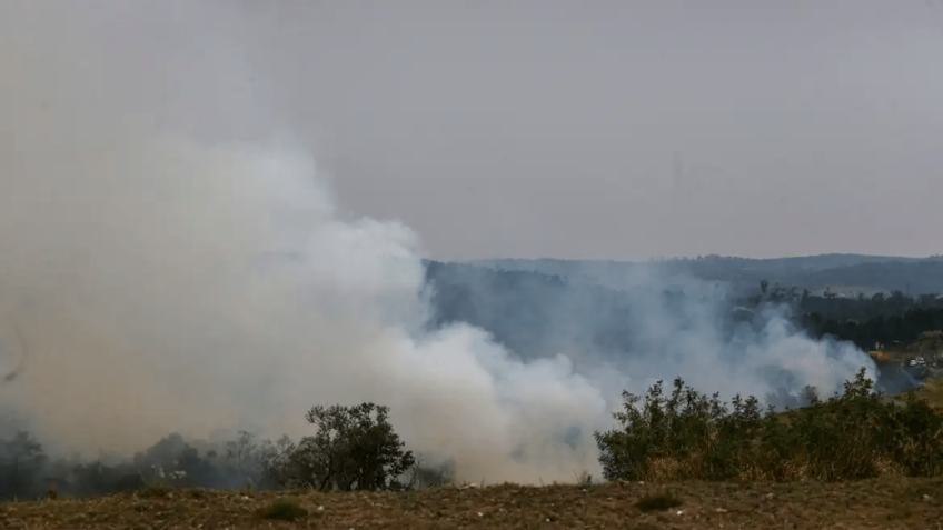 O que explica a queda de incêndios florestais no Brasil