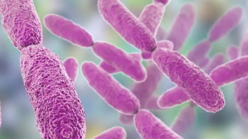 Tratamento com luz elimina bactéria causadora de pneumonia