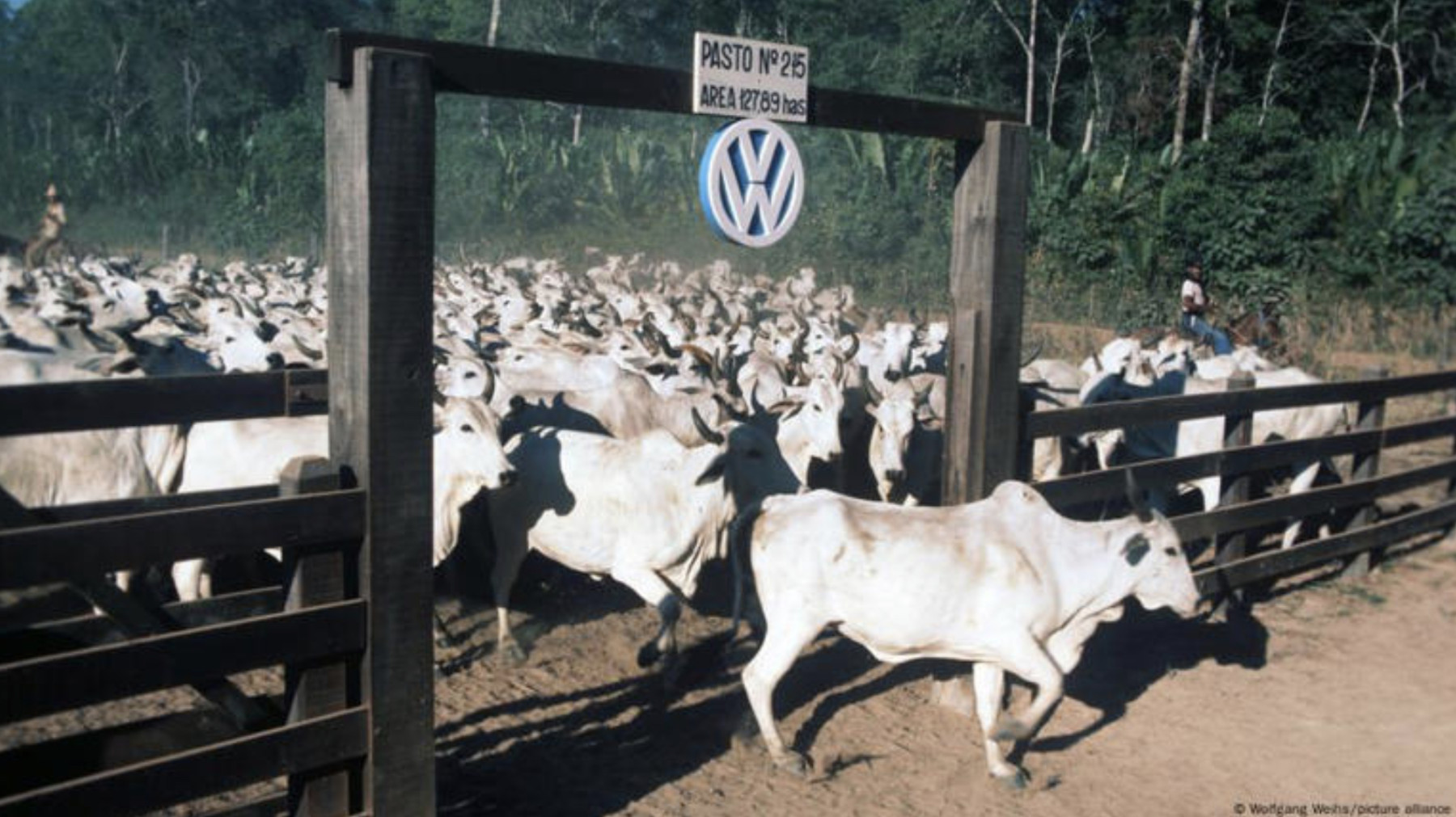 Fazenda Volkswagen é condenada empresa a pagar R$ 165 milhões por trabalho escravo