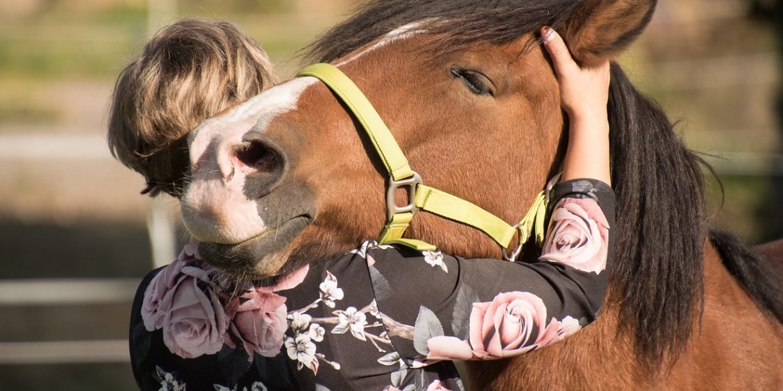 Equoterapia cresce e mostra o poder dos cavalos como verdadeiros terapeutas