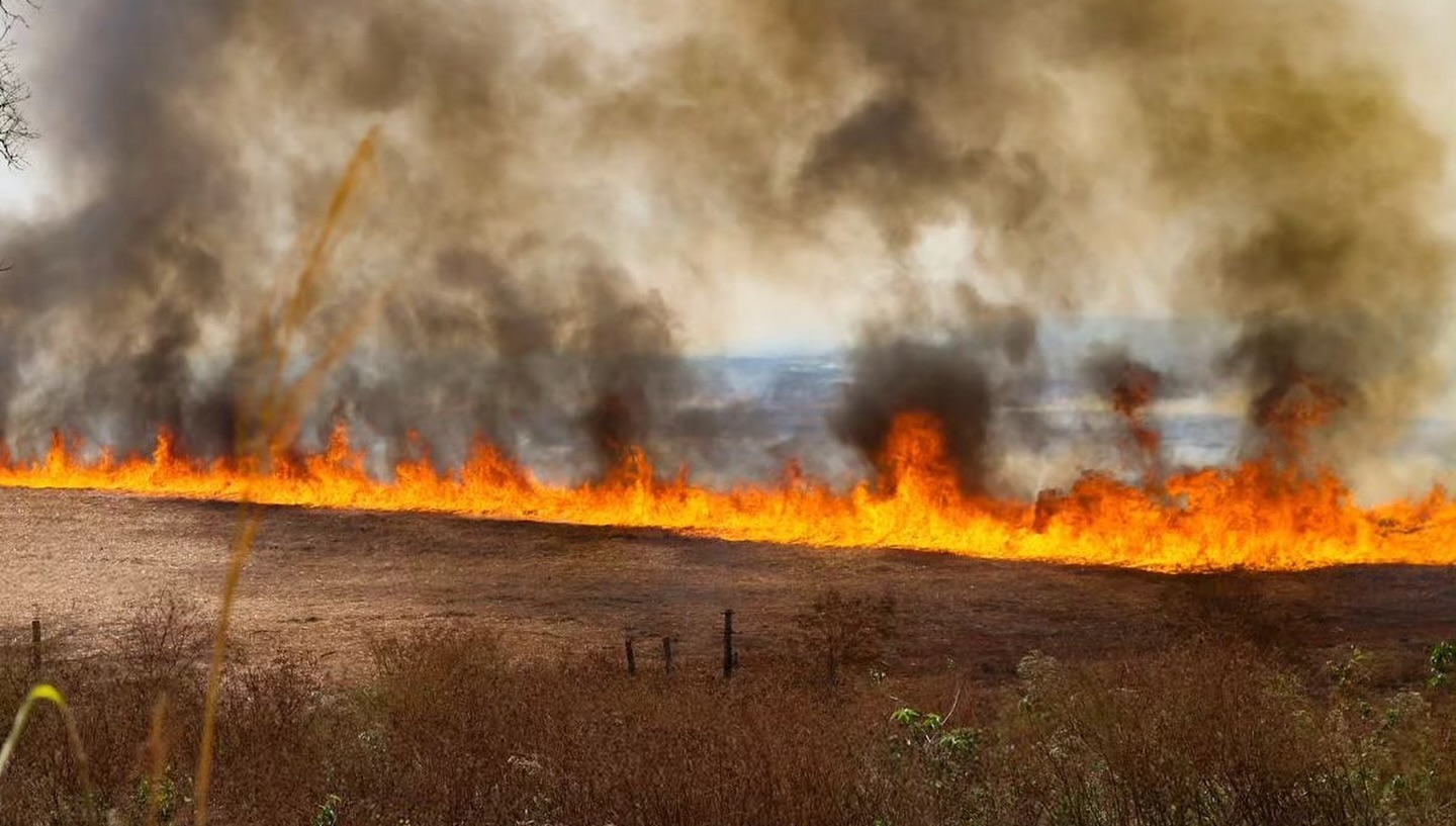 Governo publica regras para prevenção de incêndio florestal em propriedade rural