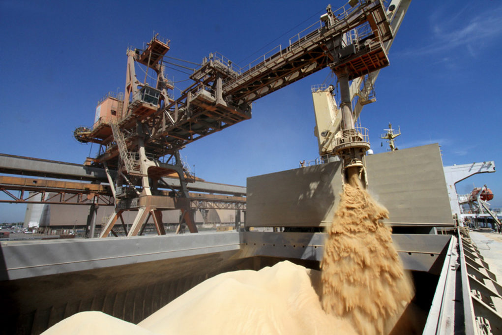 Volume de soja inspecionado para exportação nos EUA sobe 20,28%, diz USDA