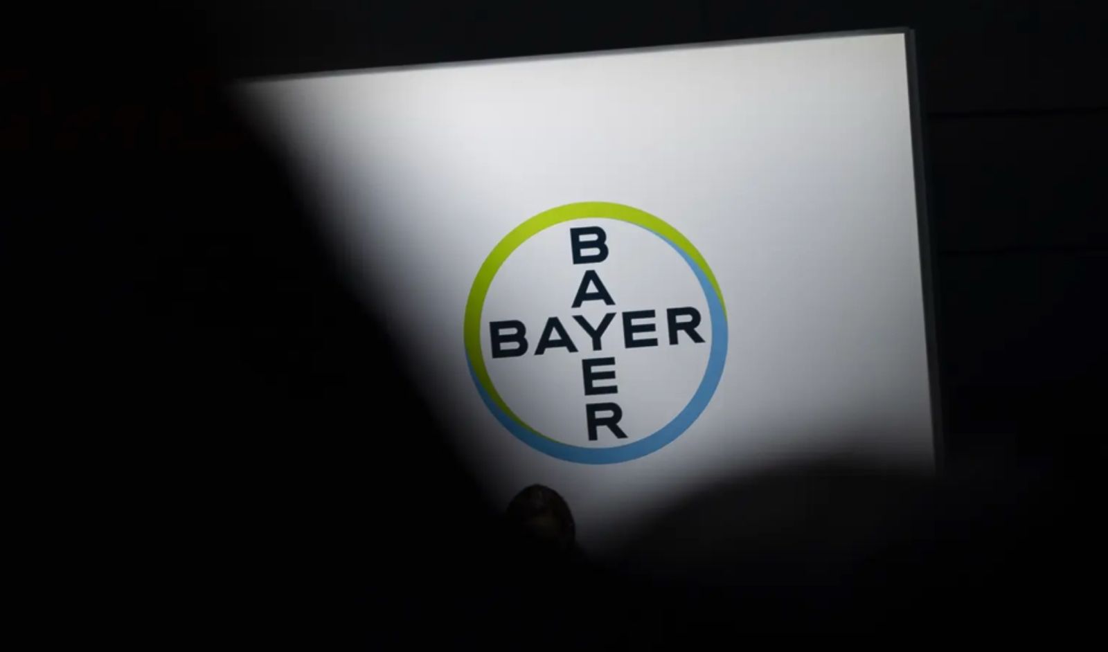 Produtores de soja do Brasil e Bayer entram em conflito sobre incentivos a multiplicadores de sementes
