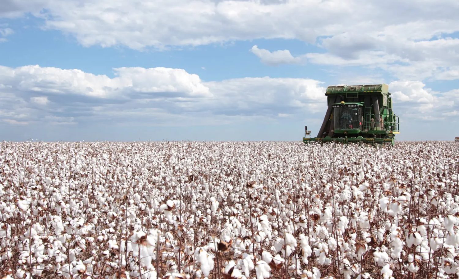 Agro cresce mais de 10% no segundo trimestre de 2025