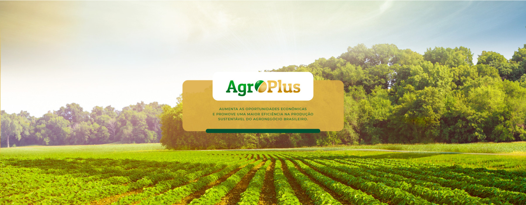 Agro Plus é reconhecido pelo MAPA com selo de Boas Práticas Agropecuárias