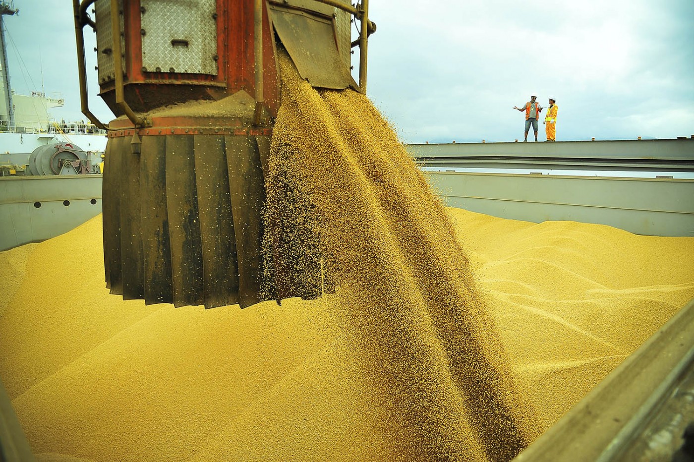 Anec prevê aumento da exportação de soja do Brasil em setembro