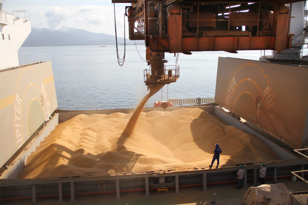 Anec vê mais soja e menos milho do Brasil na exportação este mês; agosto abaixo do esperado