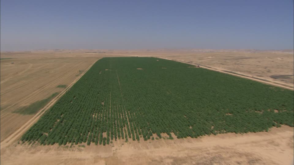 Como funciona a agricultura em países com clima extremo e baixa produção natural