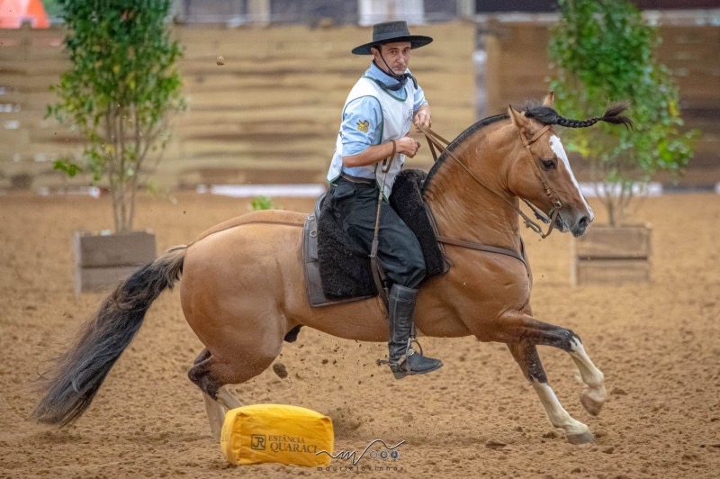 Conheça o campeão  e campeã do Freio de Ouro 2025 na Expointer