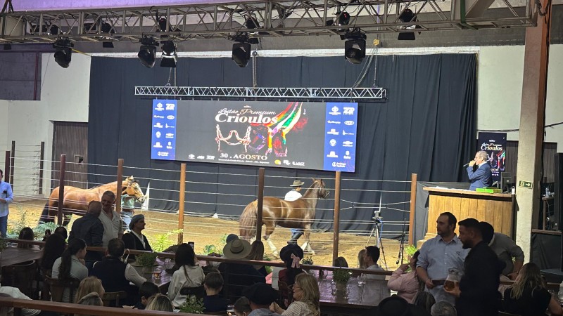 Cavalo Crioulo movimenta mais de R$ 14,5 milhões em animais na Expointer
