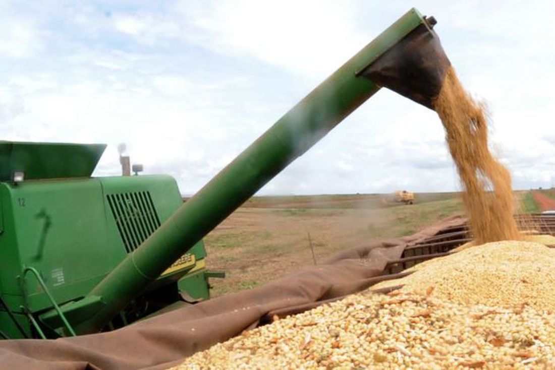 Plantio de soja da safra 2025/2026 começa em pontos isolados do PR, diz AgRural