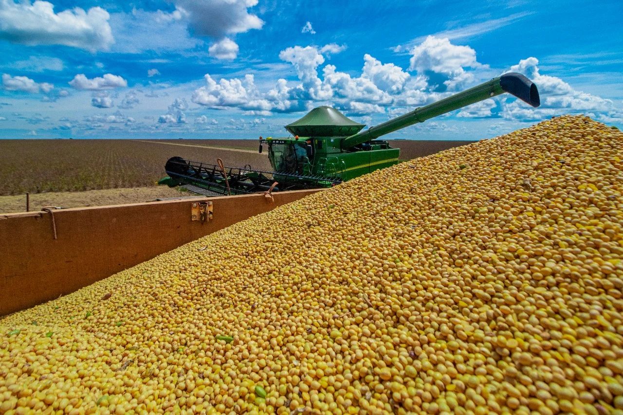 Comercialização antecipada de soja de MT segue atrasada, aponta Imea