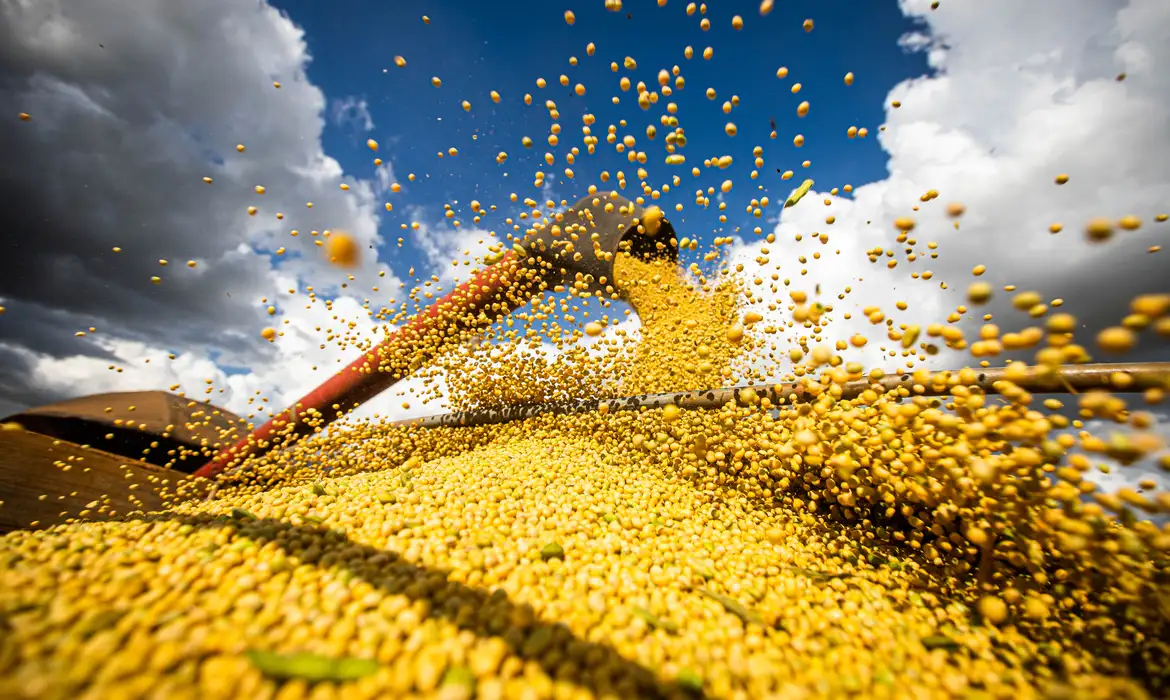 Valor da produção agrícola brasileira recua 3,9% em 2024, mostra IBGE