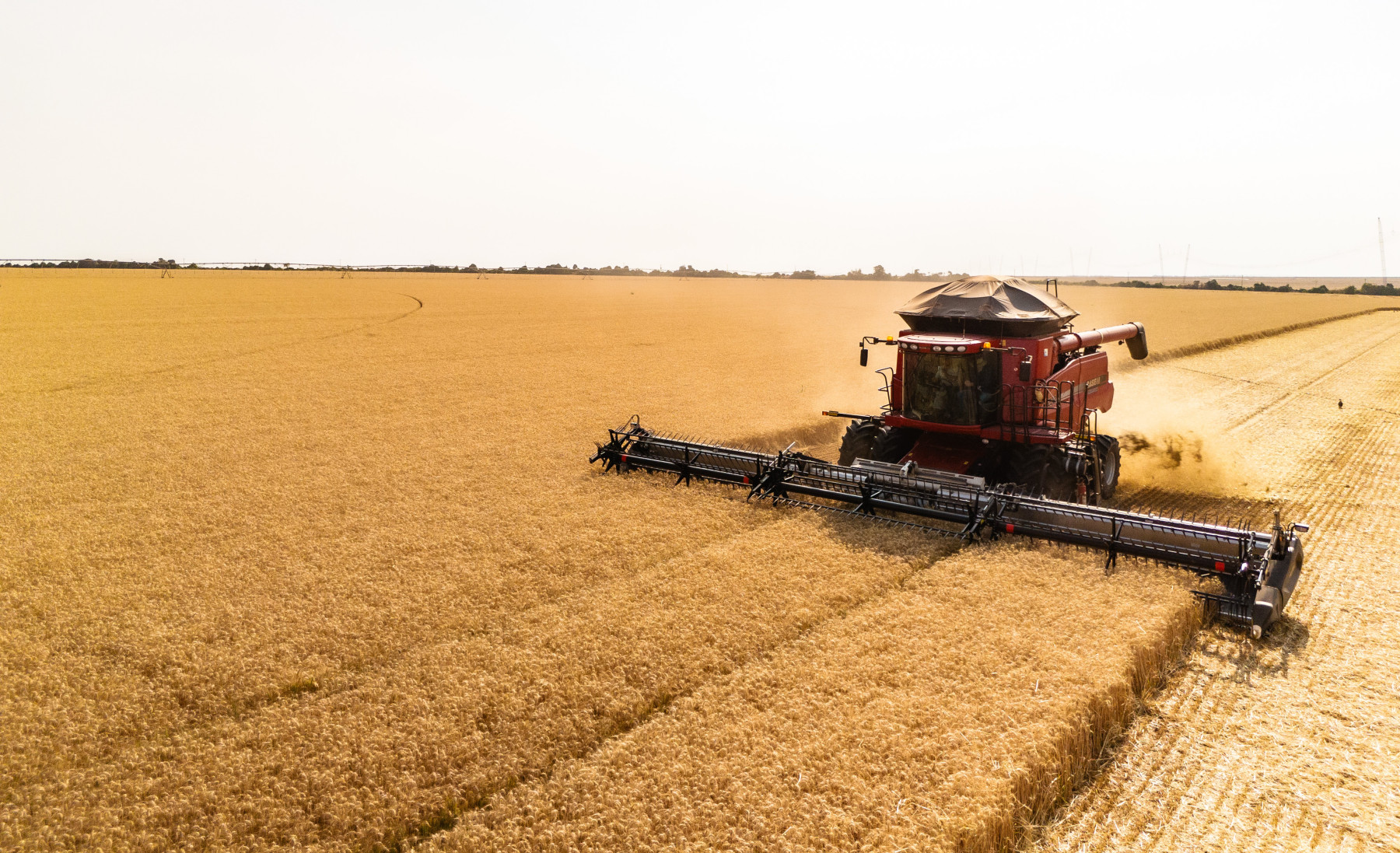 Produção de grãos atinge novo recorde com 350,2 milhões de toneladas colhidas na safra 2024/25