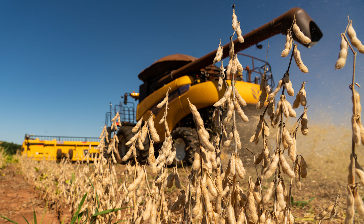 EUA vendem 541,1 mil t de soja da safra 2025/26, mostra USDA