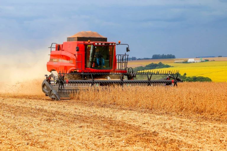 CNA divulga análise com dados do agro em agosto