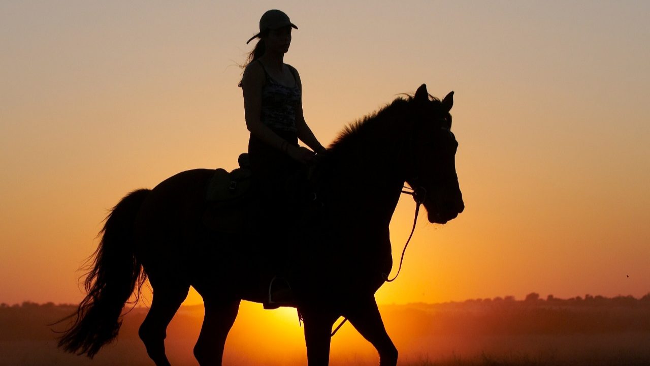 Como planejar uma cavalgada: do trajeto à recepção