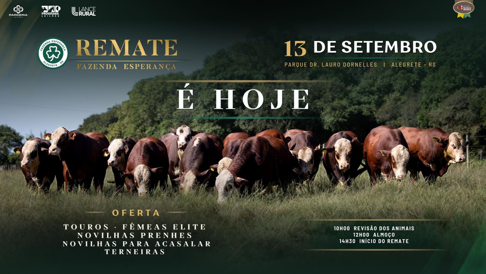 Hoje é dia de Esperança: o remate que entrega consistência e performance