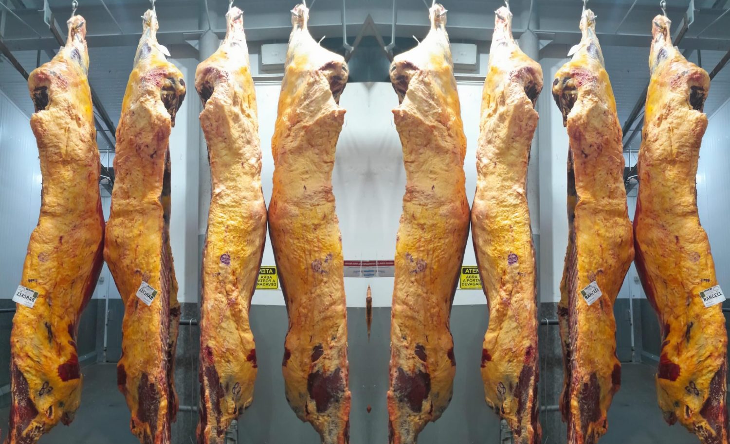 Exportação de carne bovina chega próximo de recorde histórico com quase 300 toneladas