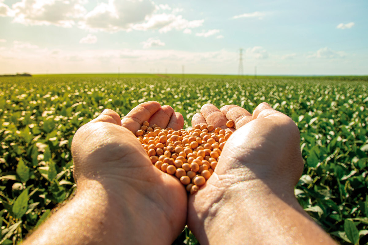 Exportações do agro somam US$14,29 bilhões em agosto e mantêm trajetória positiva