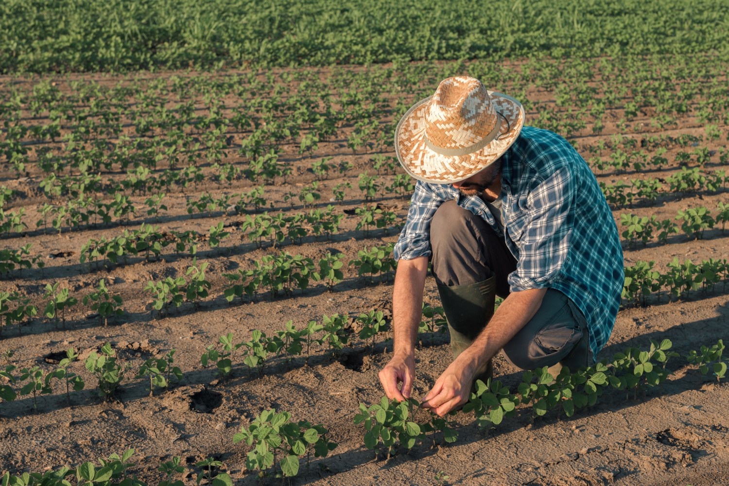 Comissão aprova garantia de isenção de imposto rural para toda a agricultura familiar
