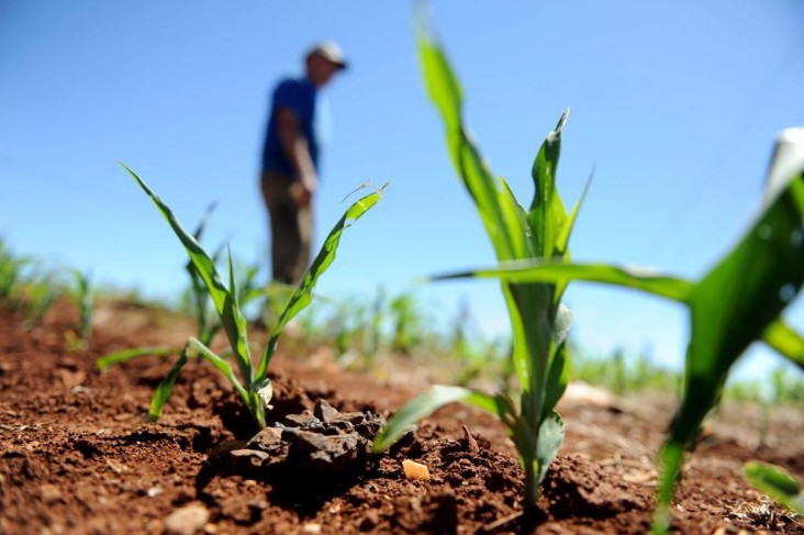 Comissão aprova criação de fundo de apoio à produção rural feita por comunidades tradicionais