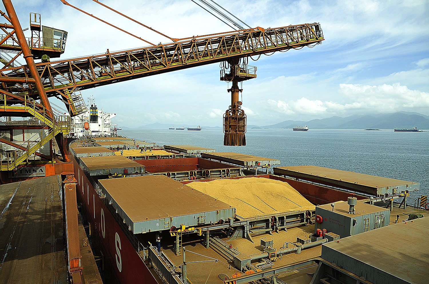 Porto de Paranaguá lidera exportações de soja e amplia participação de mercado em farelo e proteínas animais